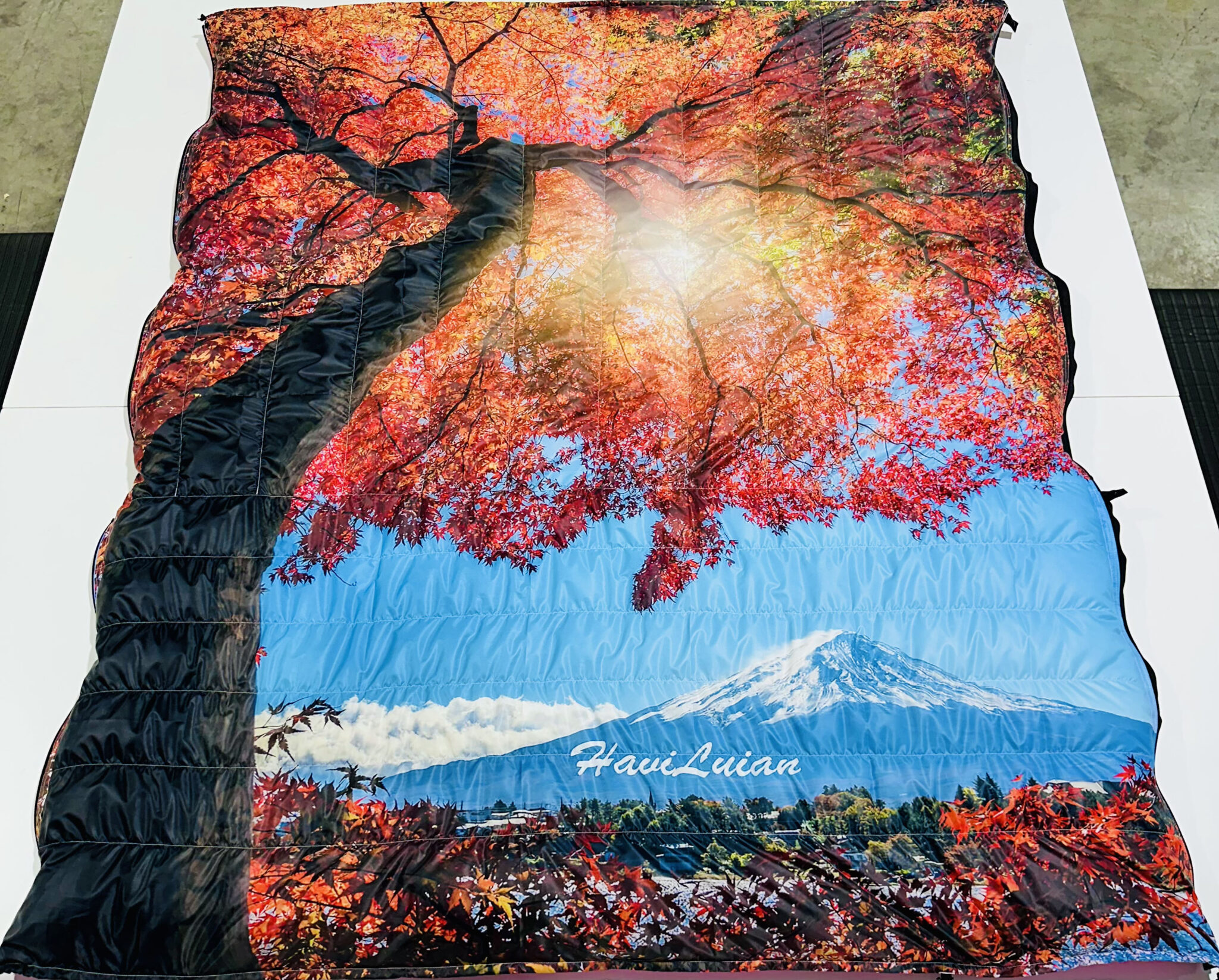 Outlaw Hybrid - Image 2